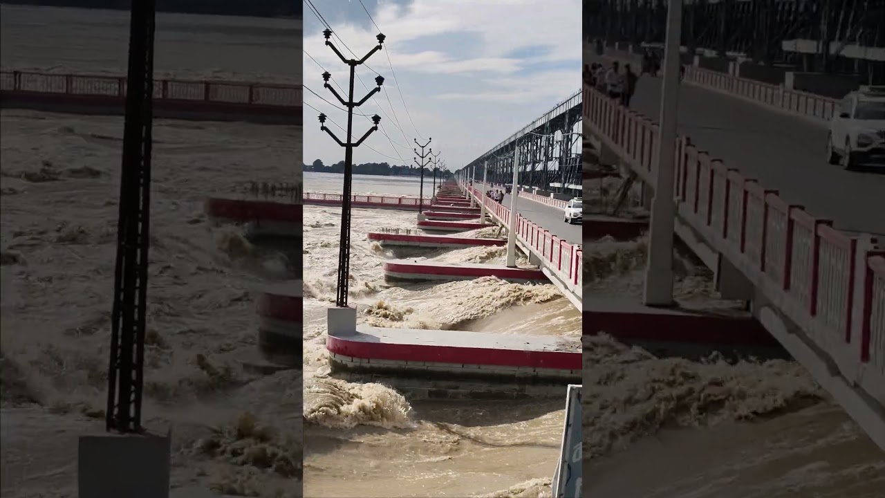 Koshi Barrage Today Update 😱 | Koshi Barrage Nepal Update #koshiriver # #koshibarrage #update #ad