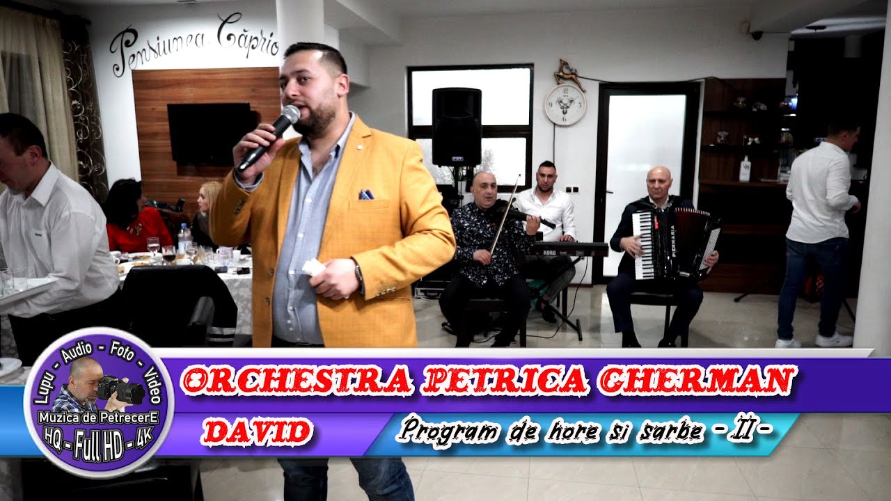 Orchestra Petrica Gherman - David - Talea - Program de hore si sarbe de petrecere - II -
