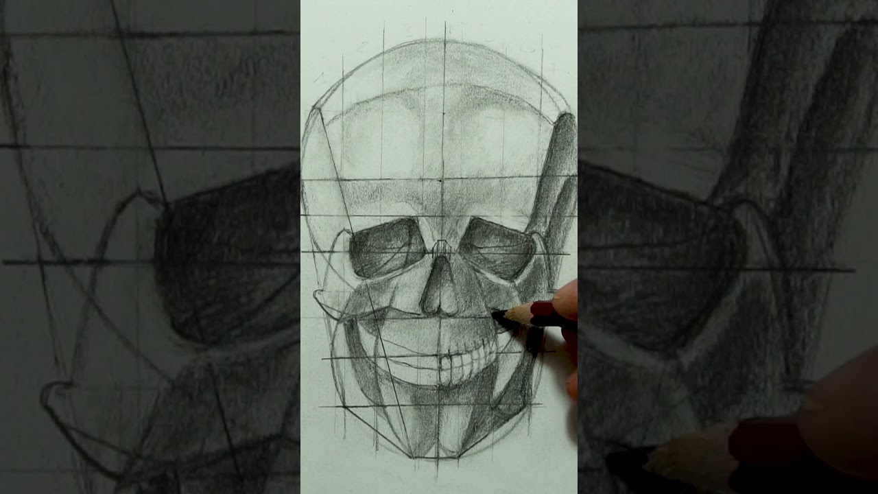 Anatomia artistica disegnare il teschio frontale