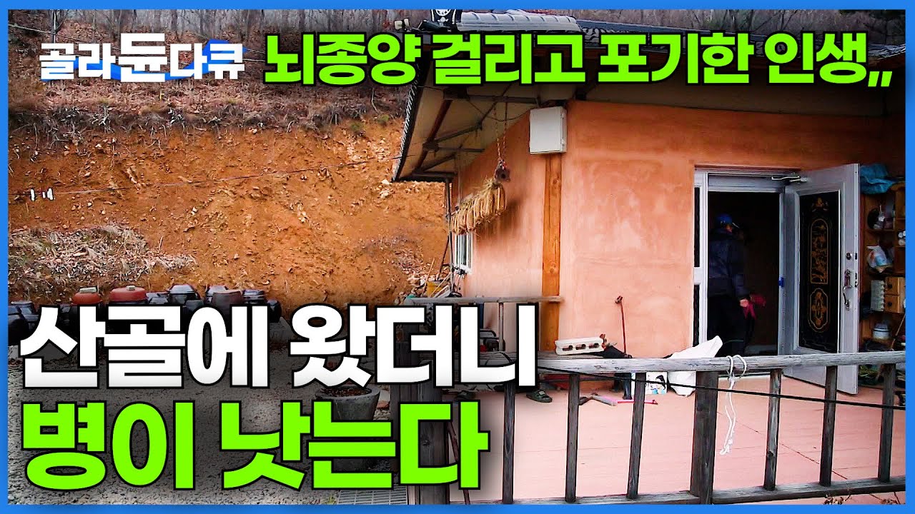 뇌종양 걸리고 거의 포기했는데.. 고비 넘기고 산골에 왔다가 생긴 놀라운 변화│작은 산골마을 금곡리 이야기│한국기행│#골라듄다큐