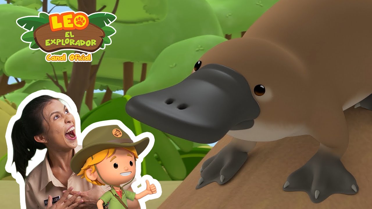 El Ornitorrinco - Leo, El Explorador Episodio | Animaci&oacute;n - Familia - Ni&ntilde;os