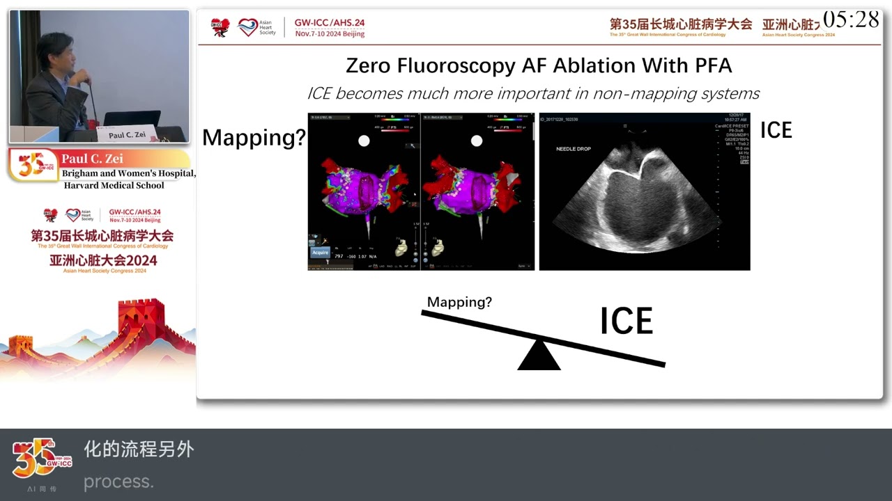 Zero Fluoroscopy AF Ablation Revisited: PFA