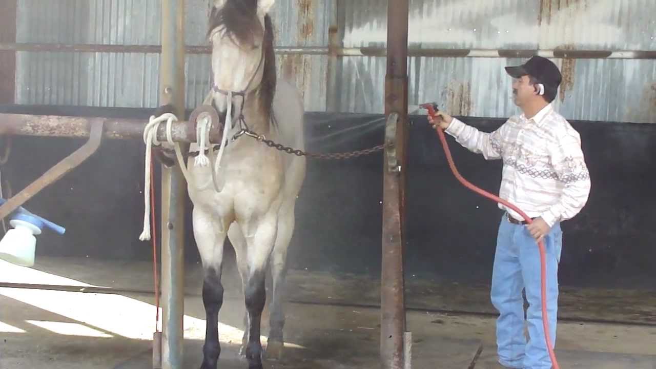 JOSE JIMENEZ CHARRO 4