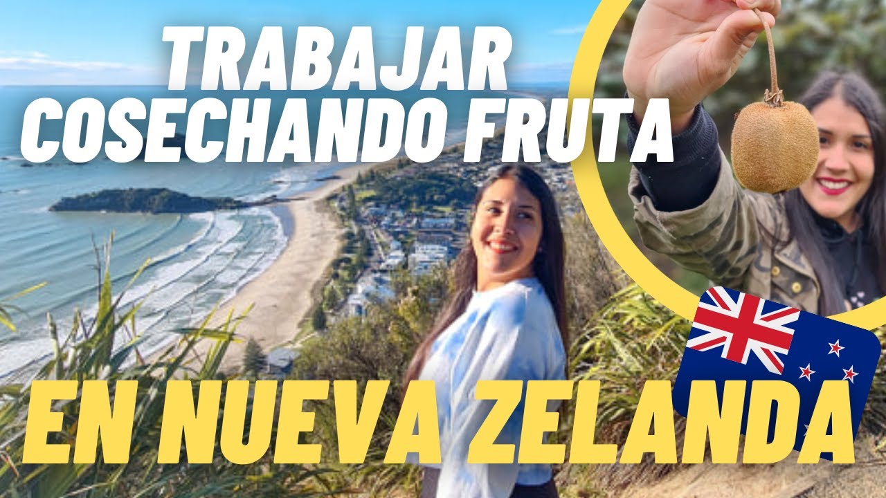 AHORRE MUCHO DINERO trabajando en Nueva Zelanda 🥝🤑 - VLOG Mount Maunganui 🇳🇿
