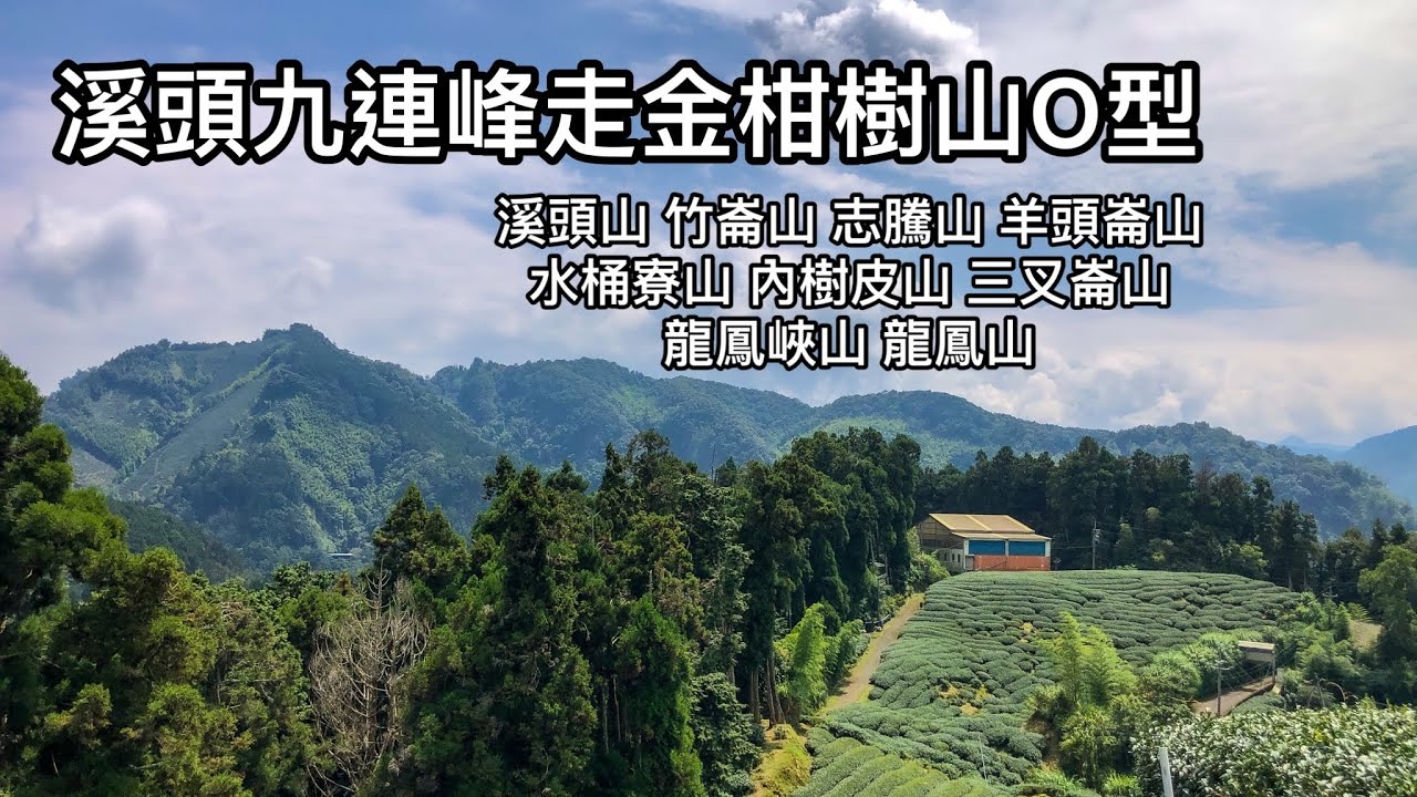 ［南投鹿谷］溪頭九連峰走金柑樹山，下溪頭森林遊樂區O型路線
