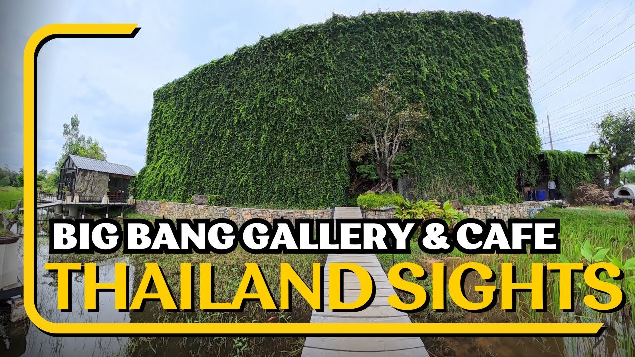 Bigbang Gallery & Cafe – Lush Gardens & Amazing Wood-Fired Pizza