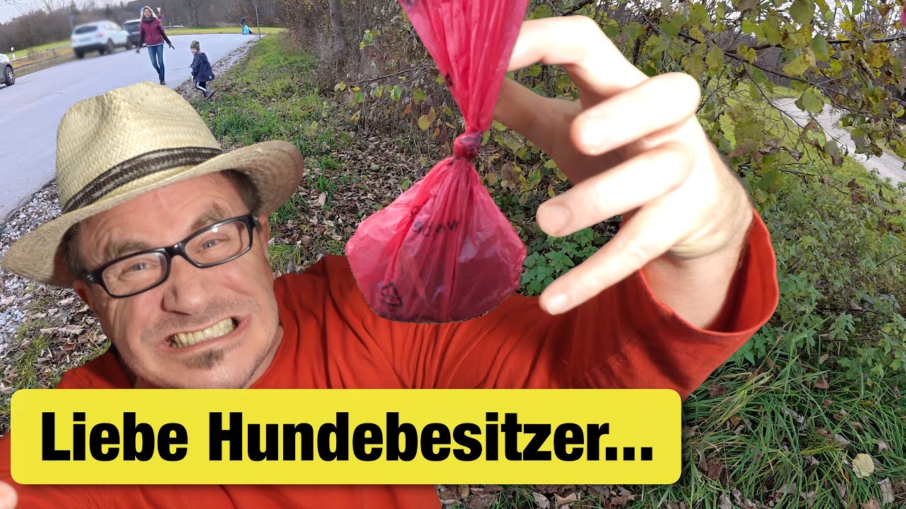 Liebe Hundebesitzer: WARUM?