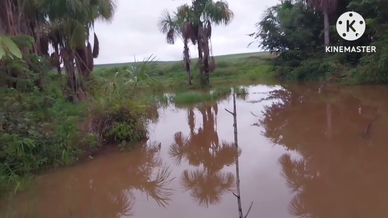 (FIZ UM VÍDEO ONDE MOREI NA ÁREA RURAL) GUAJARÁ MIRIM, NO ESTADO DE RONDÔNIA-25/01/2026-DOMINGO.