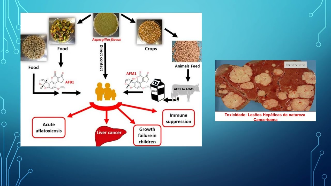 toxicologia de alimentos