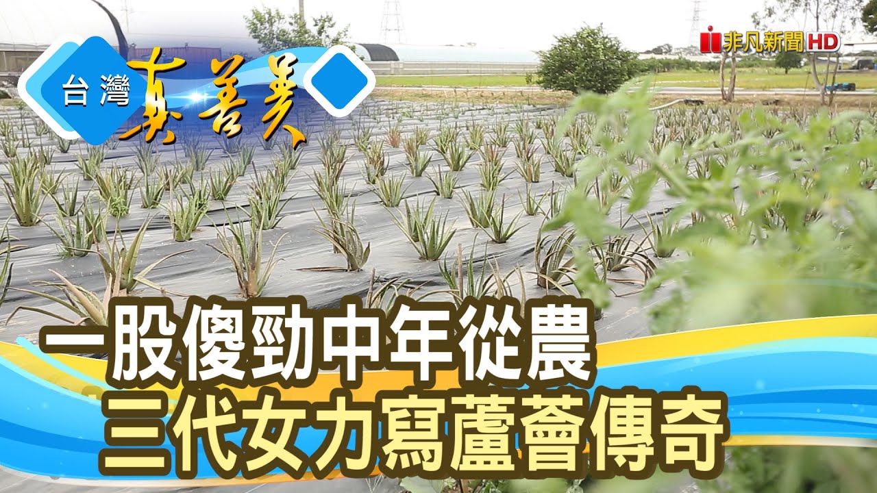 熱血女農創“蘆薈新商機”｜村家味｜【台灣真善美】2025.03.23