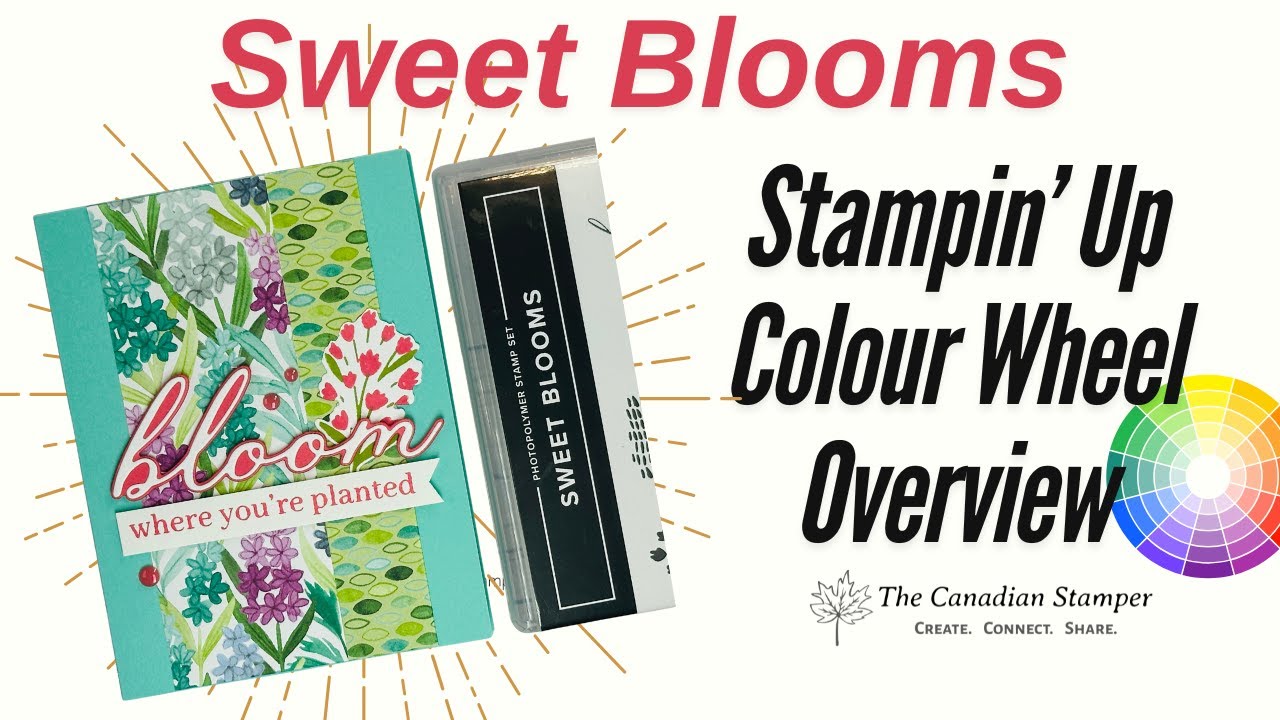 🌸 Sweet Blooms & Colour Wheel Tips | How to Pick Colours with Confidence 🌈