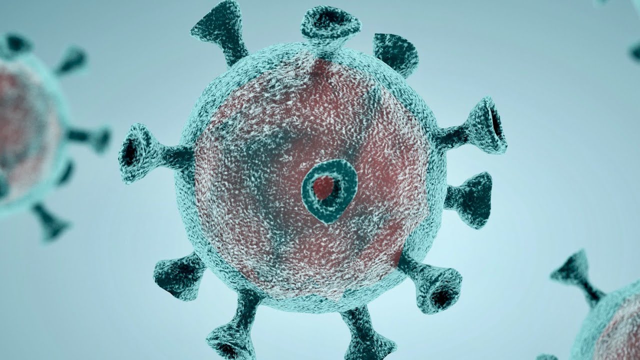 President Biden to intensify investigation into coronavirus origin