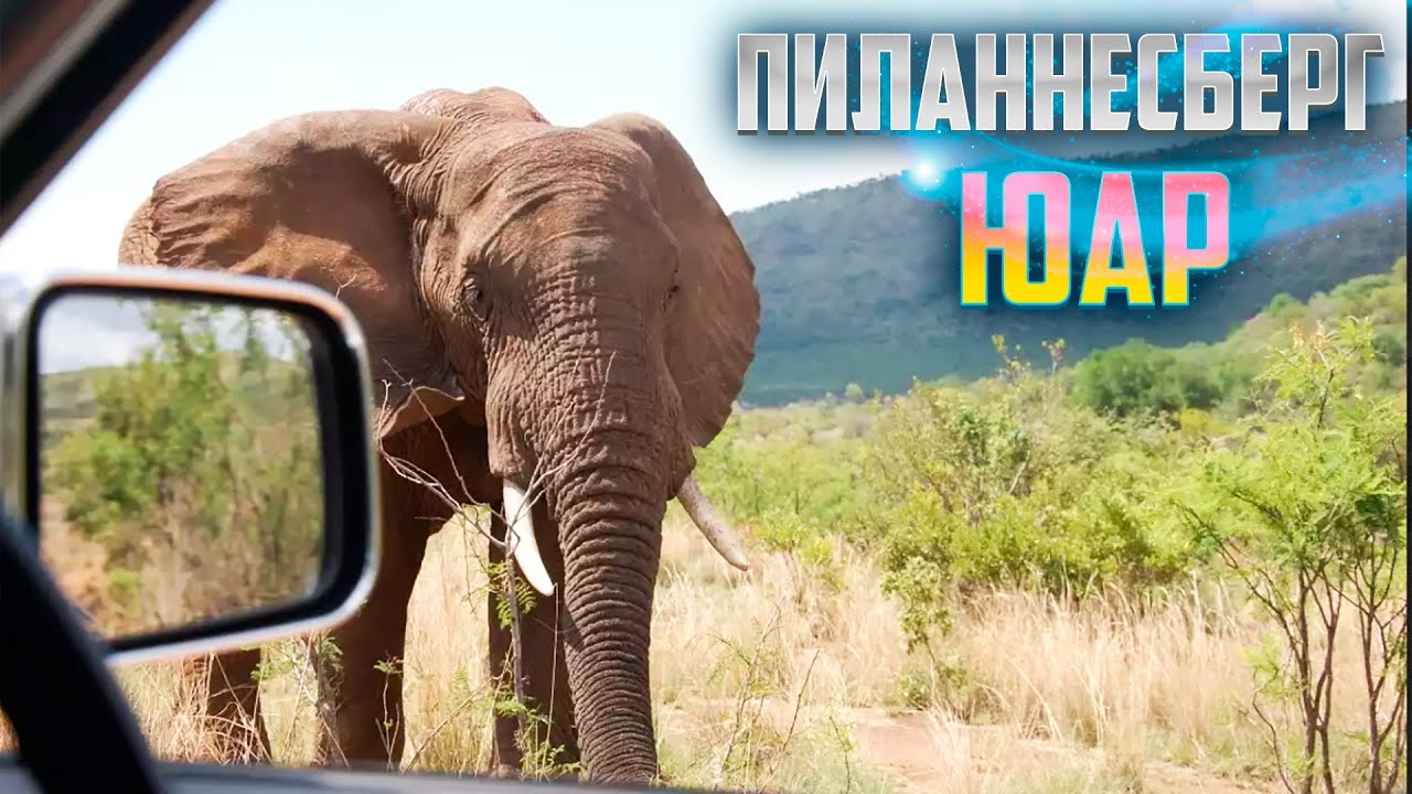 ЮАР.  Сафари в Парке Пиланесберг