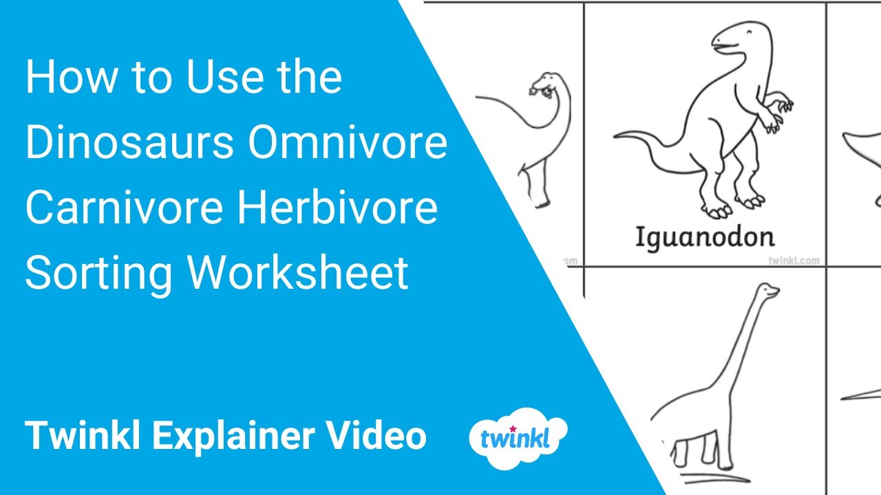 How to use the Dinosaurs Omnivore Carnivore Herbivore Sorting Worksheet