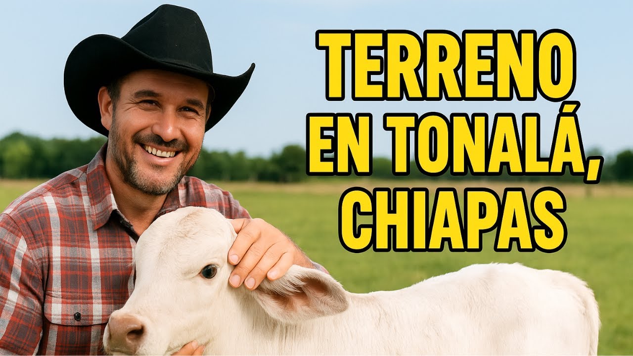 Terreno en Tonalá Chiapas