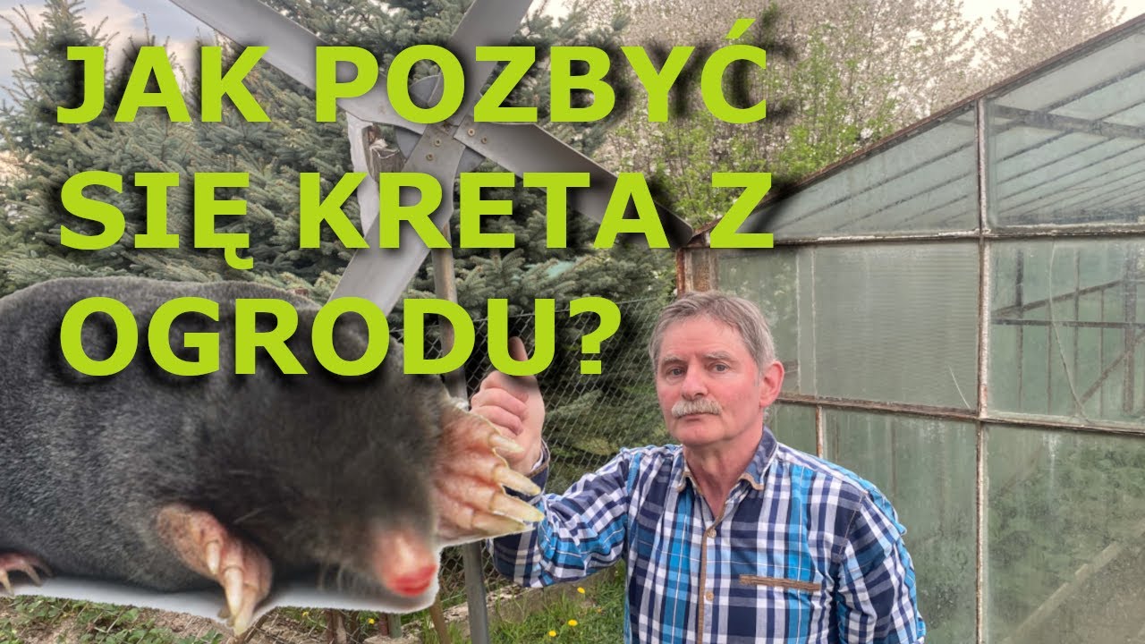 JAK POZBYĆ SIĘ KRETA Z OGRODU - ZIBI PL