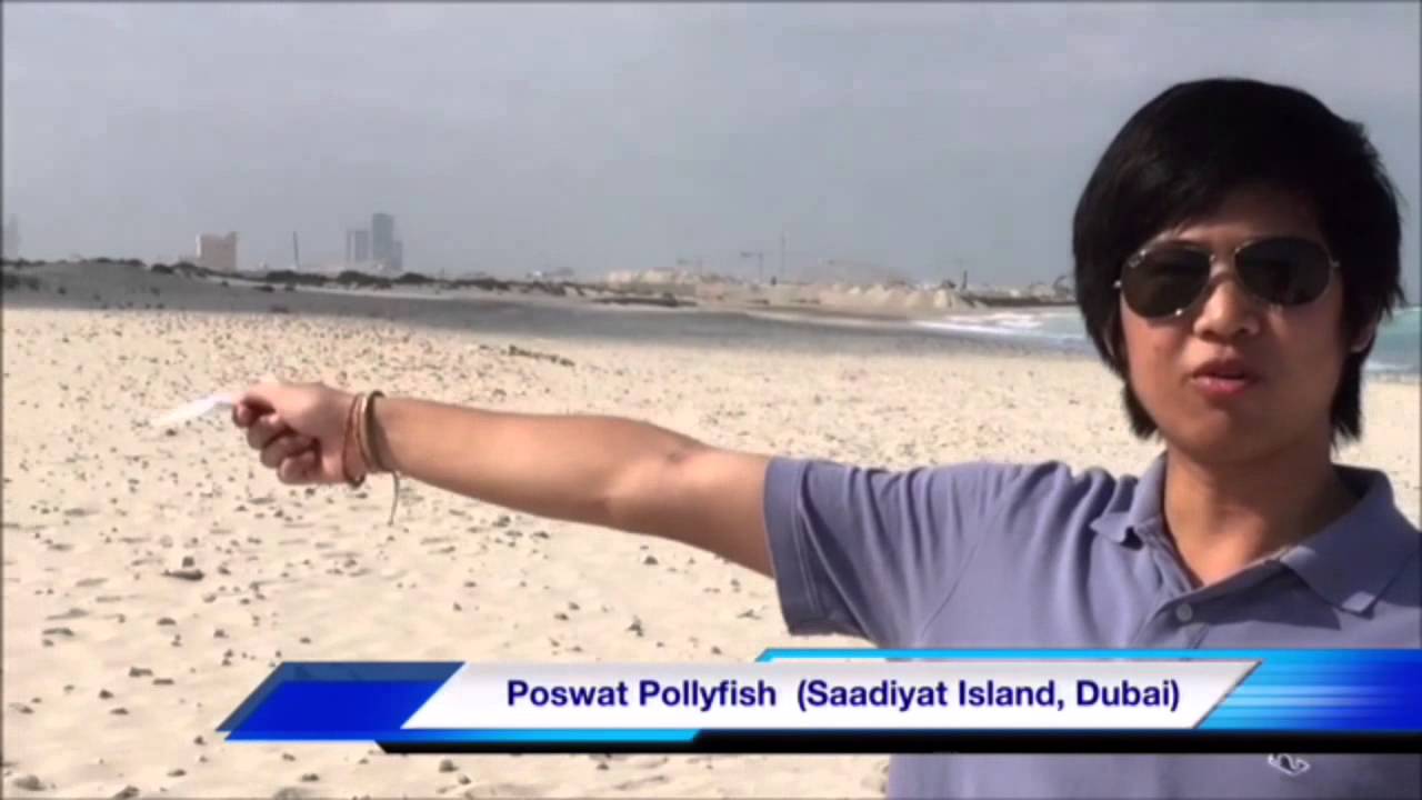 Coastal Development