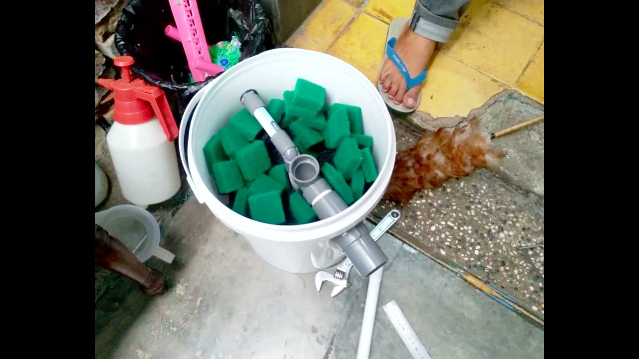 Tutorial Membuat Filter Kolam dari Tong - Ember Bekas Cat 20 liter