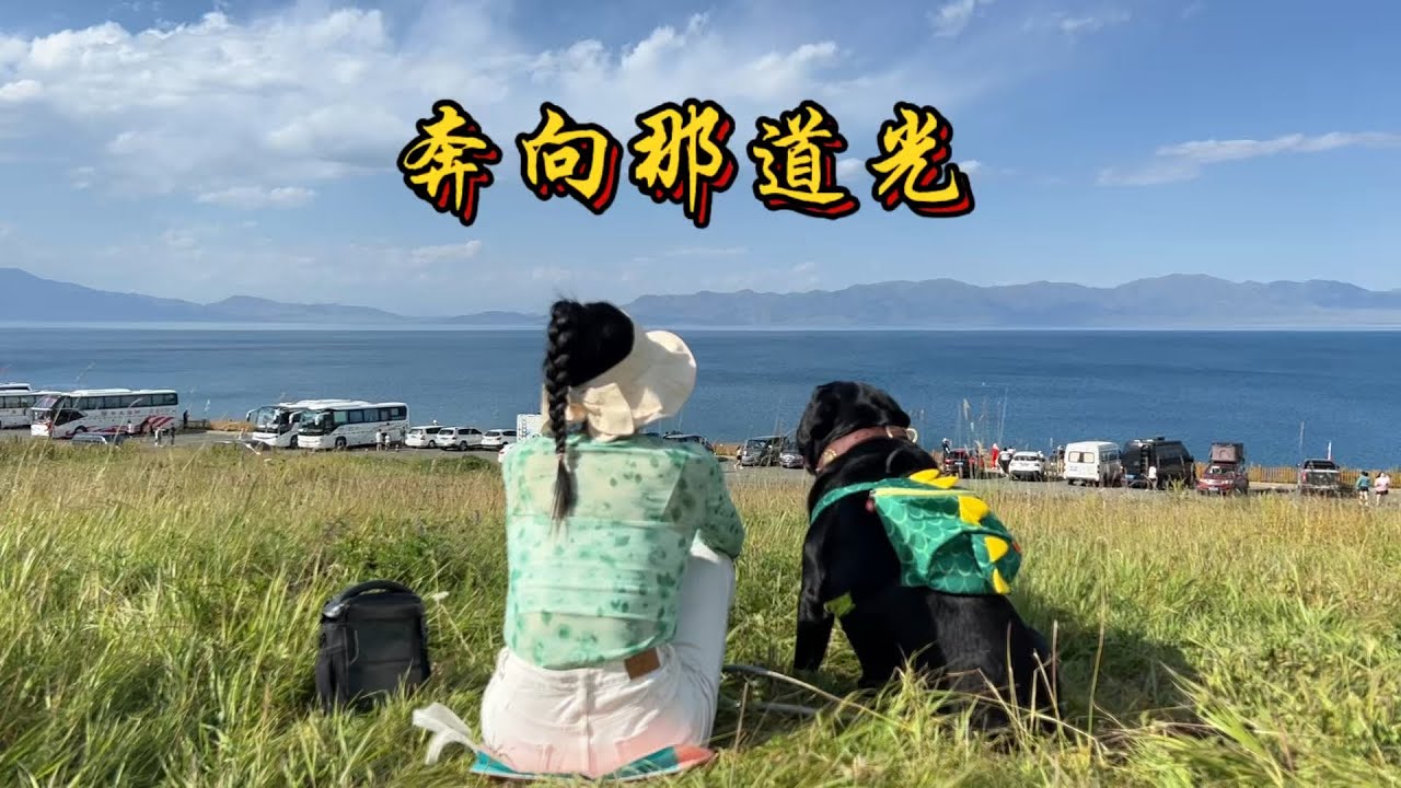 奔向那道光，用我和狗狗的半生流浪寫作的歌Running Toward That Light &mdash; A Song Written from Half a Lifetime of Wandering 