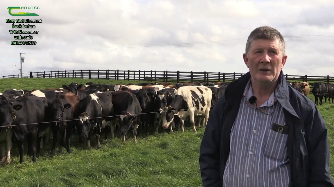 DairyCon19 - Ciaran Kavanagh