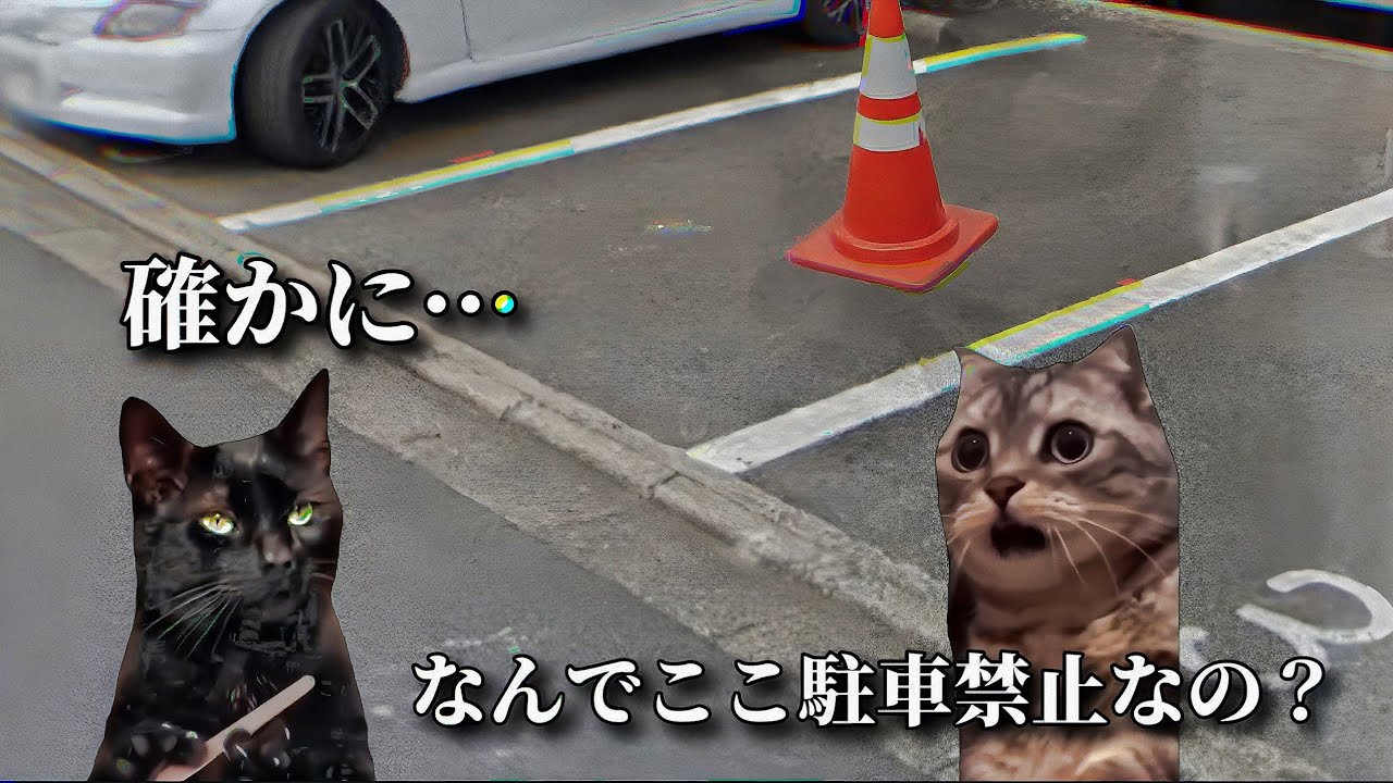 駐車場なのに駐車禁止があった話　#心霊#怖い話#ホラー