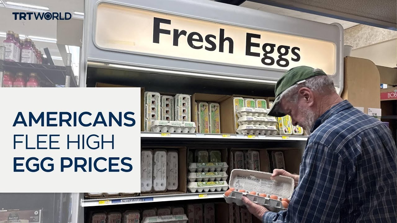 US egg shortage sends consumers to Tijuana, Mexico