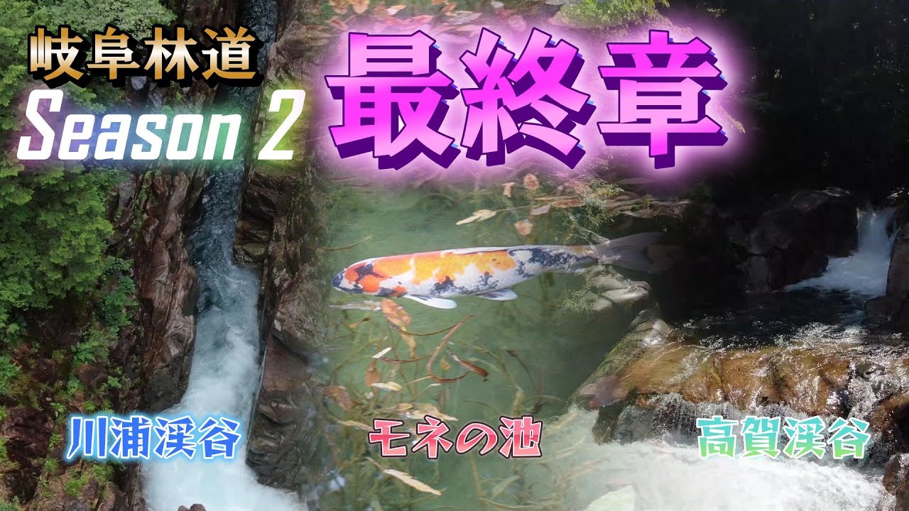 岐阜林道season2 最終章! ここが絶景スポット川浦渓谷!岐阜のグランドキャニオン!通称モネの池 透明度の高い池を泳ぐ鯉の姿はモネの代表作「睡蓮」の様!