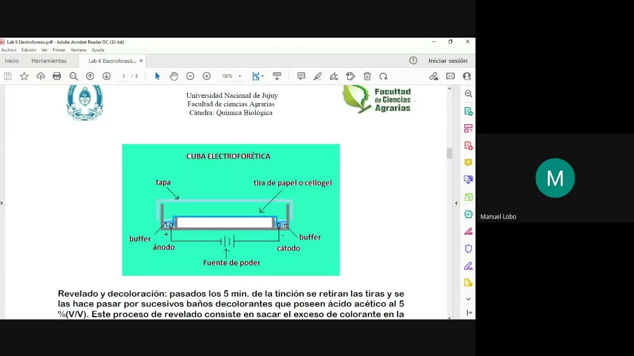 Lab N° 6   Electroforesis   Bromatología
