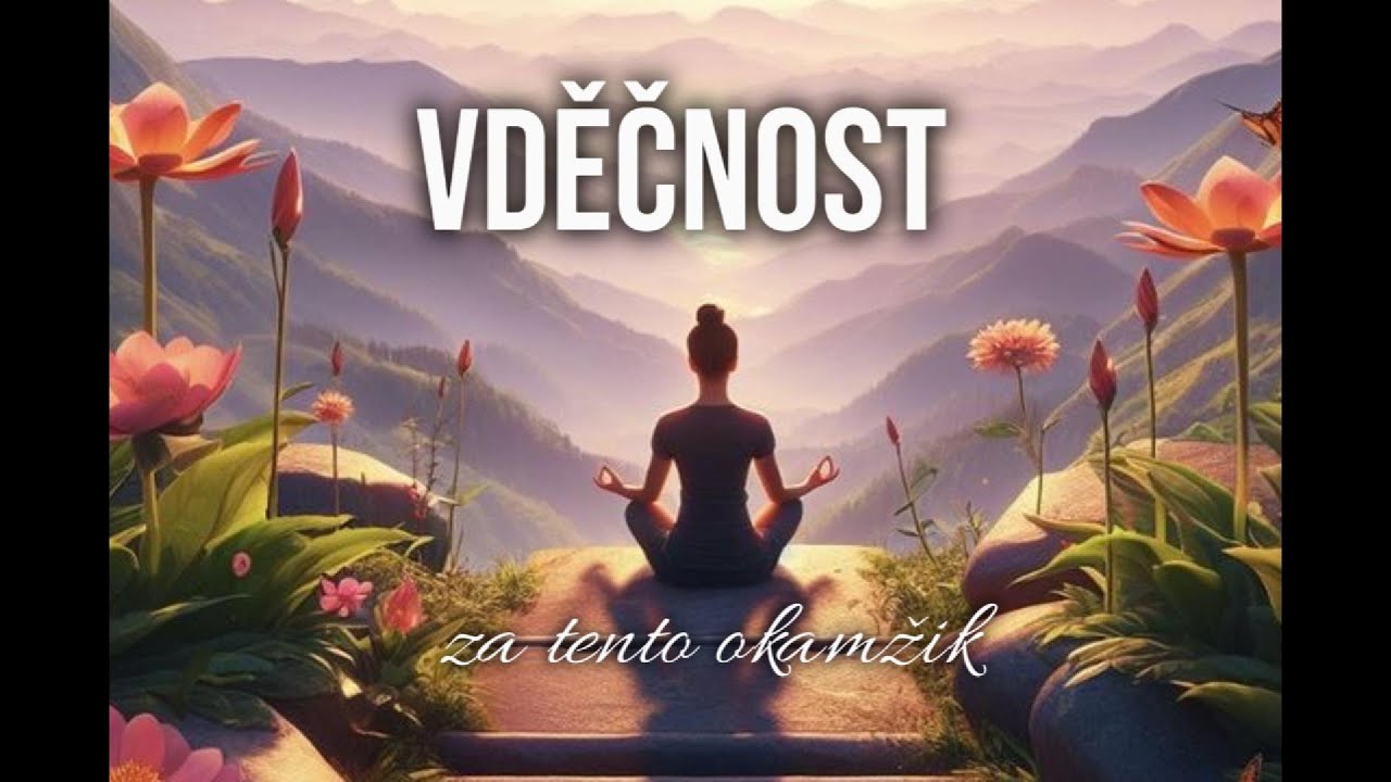 VDĚČNOST za tento okamžik (k technice VLOŽ SV&Eacute; JM&Eacute;NO DO SLAN&Eacute; VODY) ...