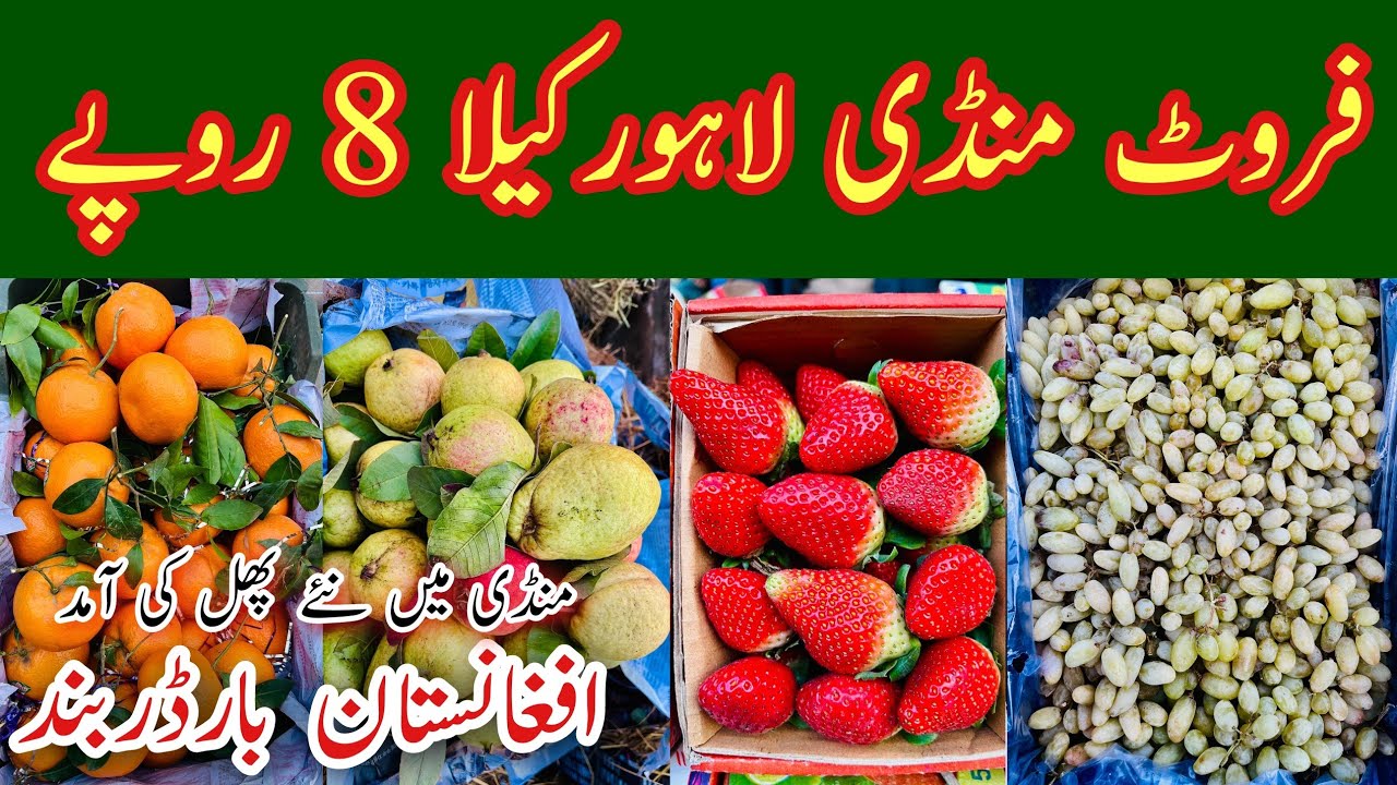 Fruit Mandi, Fruit Mandi Lahore, Lahore Fruit Mandi Rates Today, Irani Apple Exporters, Mr Phirtu