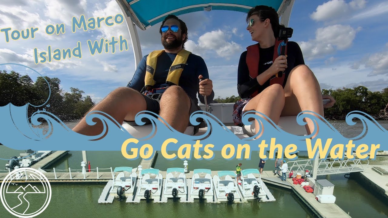 Tours to Do on Marco Island: Go Cats on the Water!