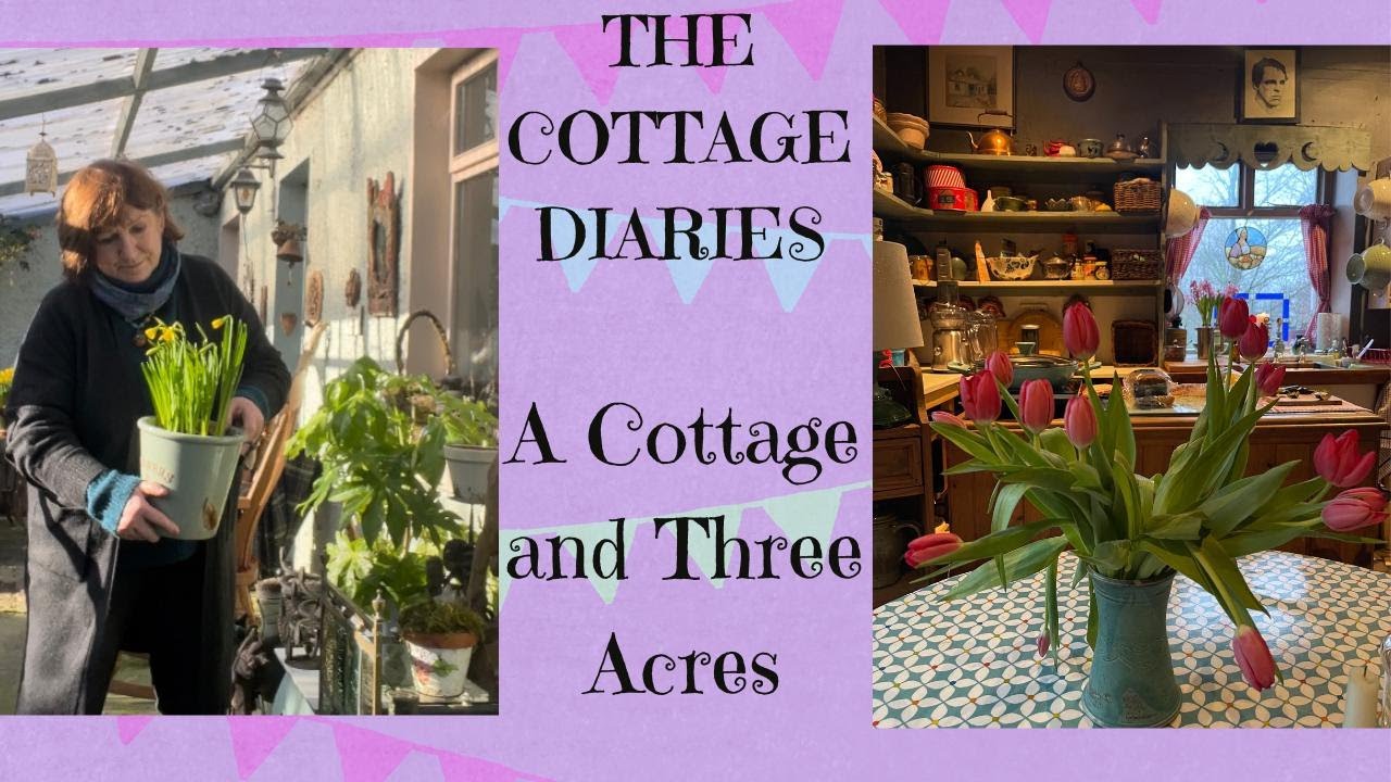 Bealtaine Cottage ~ A Cottage and Three Acres