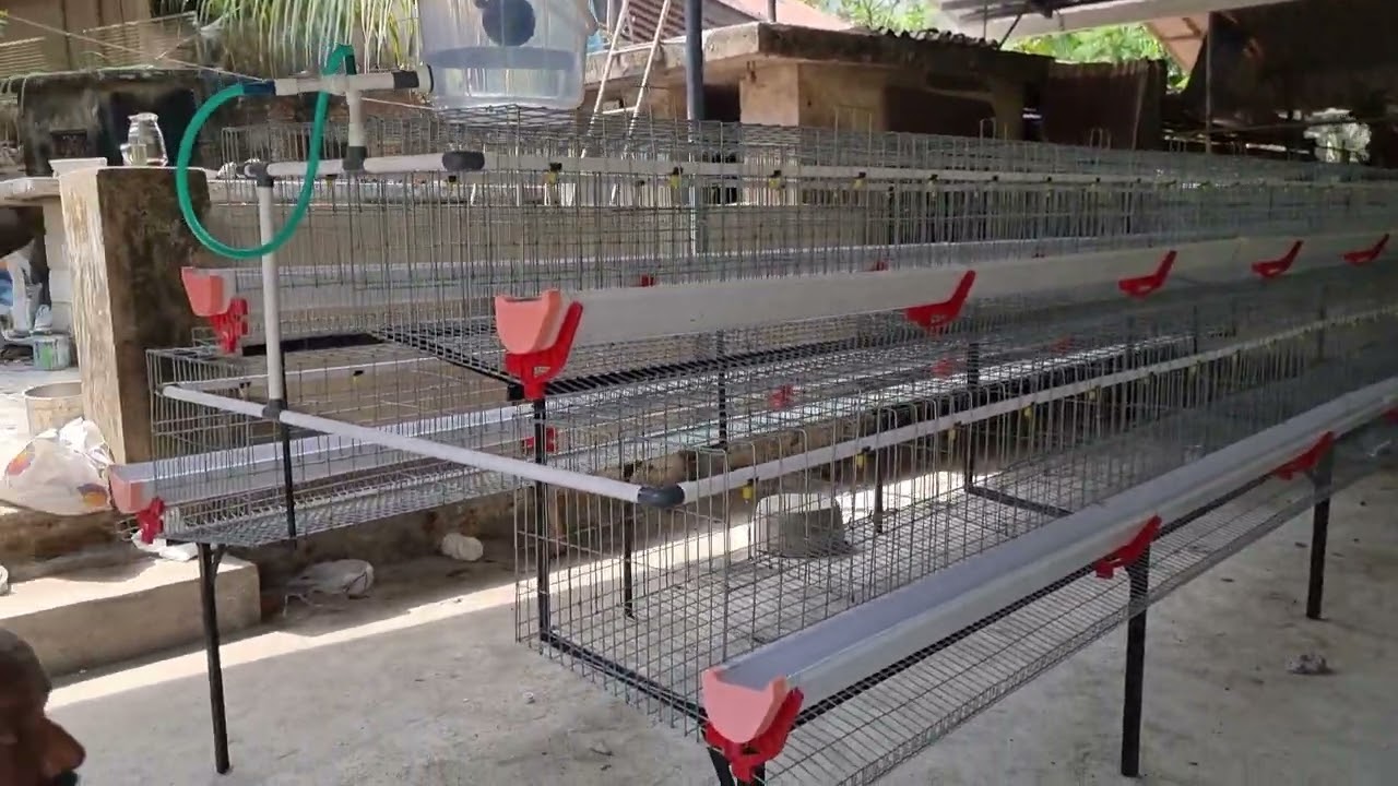 HITECH POULTRY CAGE