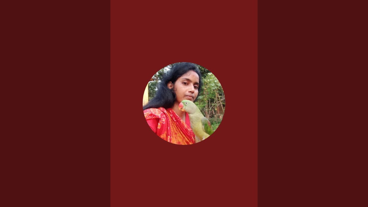 Sneha Vlog is live!