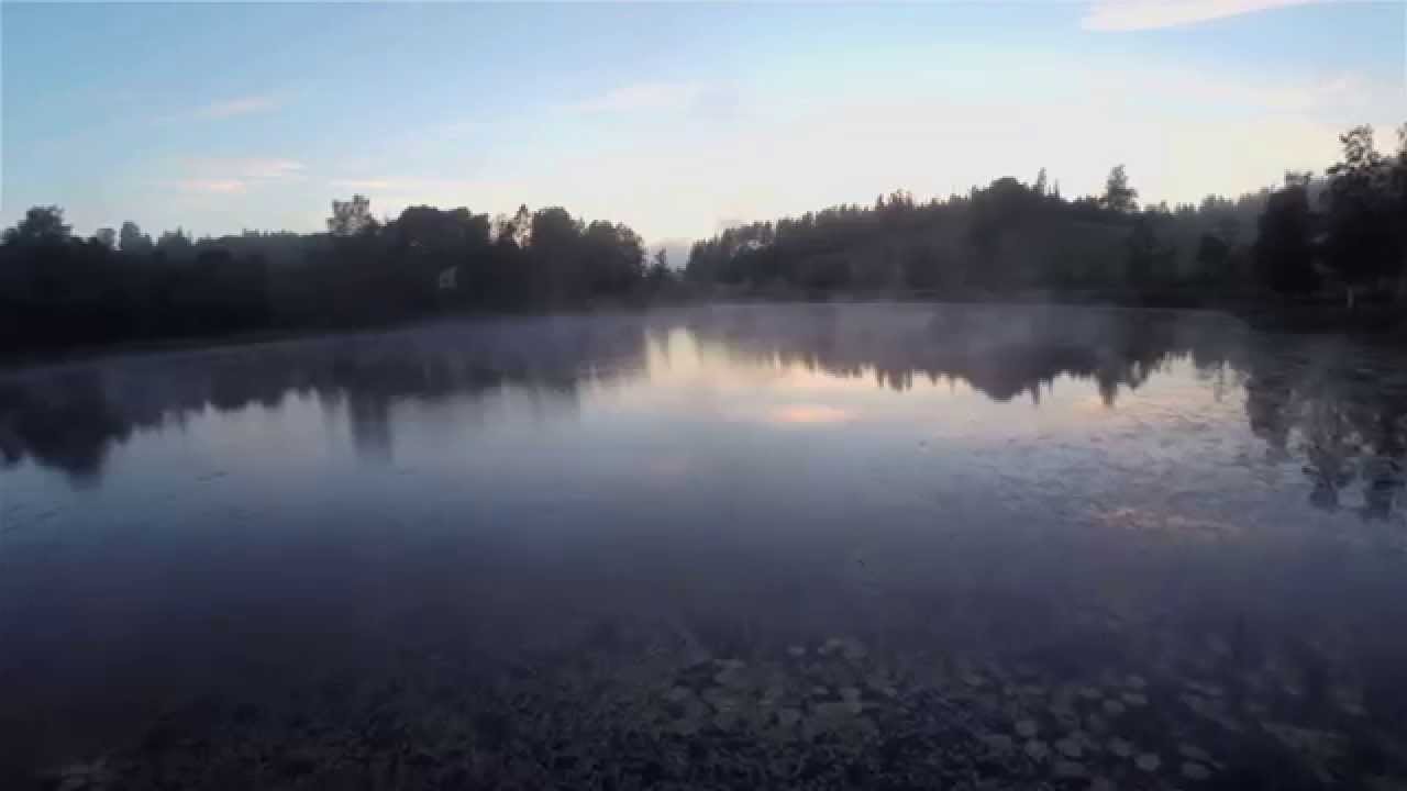 Tareq Taylor's Nordic Cookery - Höga Kusten - Salmon Fishing & Gårdsbutiken Sollefteå