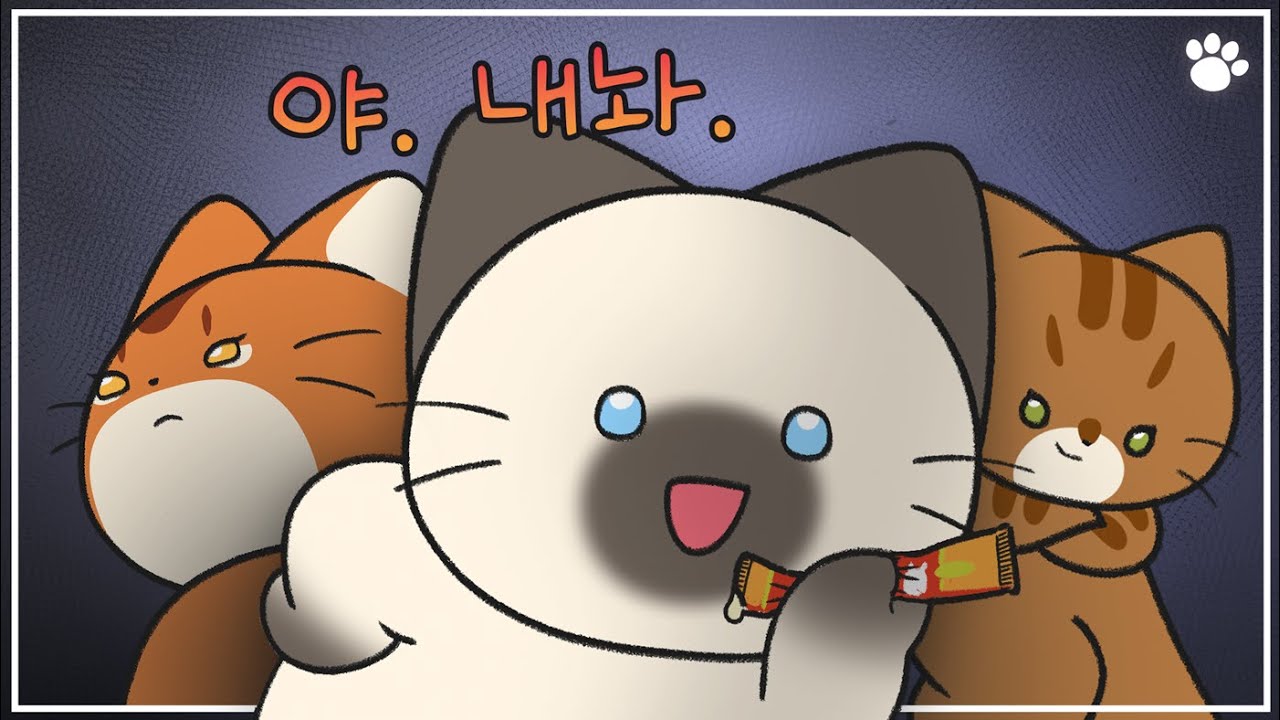 집사를 공포에 떨게 만드는 고양이 3대장! (아비시니안, 벵갈, 샴 고양이)