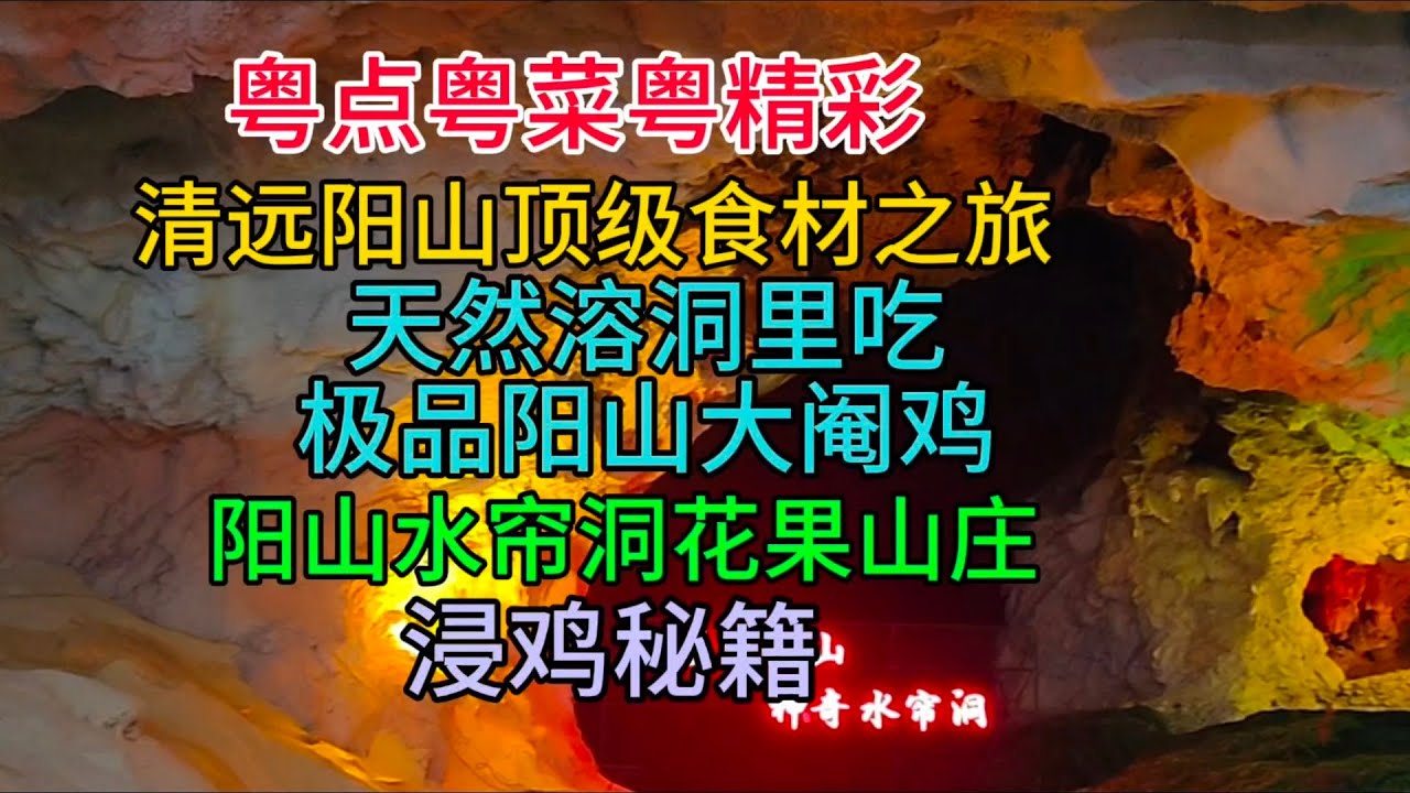 粤点粤菜粤精彩，清远阳山顶级食材之旅，天然溶洞里吃极品阳山大阉鸡，阳山水帘洞花果山庄，浸鸡秘籍，粤语中字幕2023-11-22
