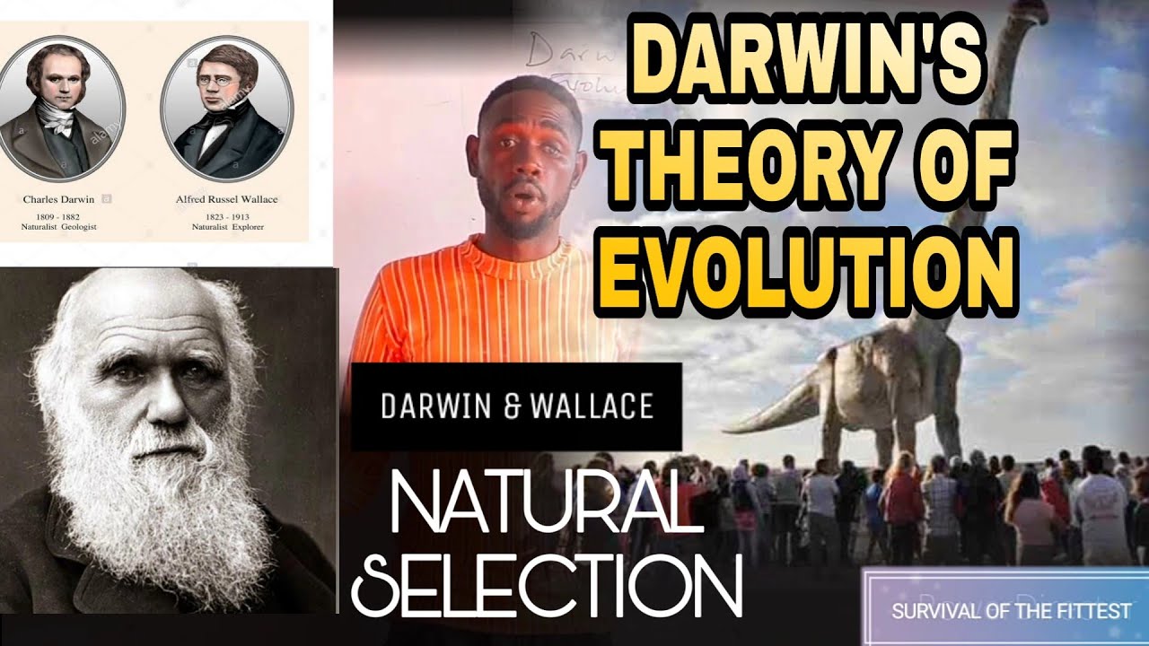 DARWIN'S THEORY OF EVOLUTION, NATURAL SELECTION by Alfred Wallace and Charles Darwin.