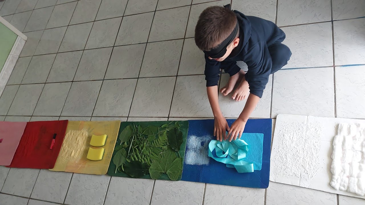 Atividade SENSORIAL - AS CORES NO MUNDO DE LÚCIA- INCLUSÃO 