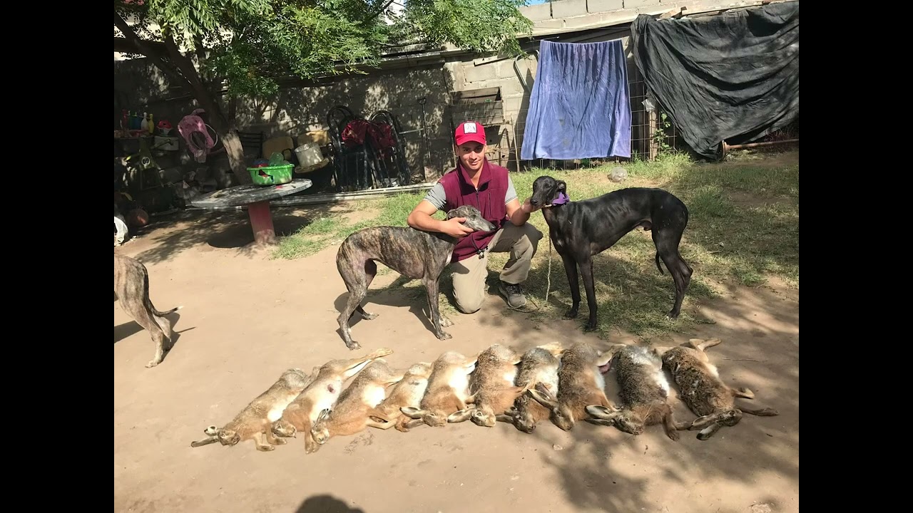 Un lindo verso que Pampa Cruz le hiso a Pulgoso👏🏻😍