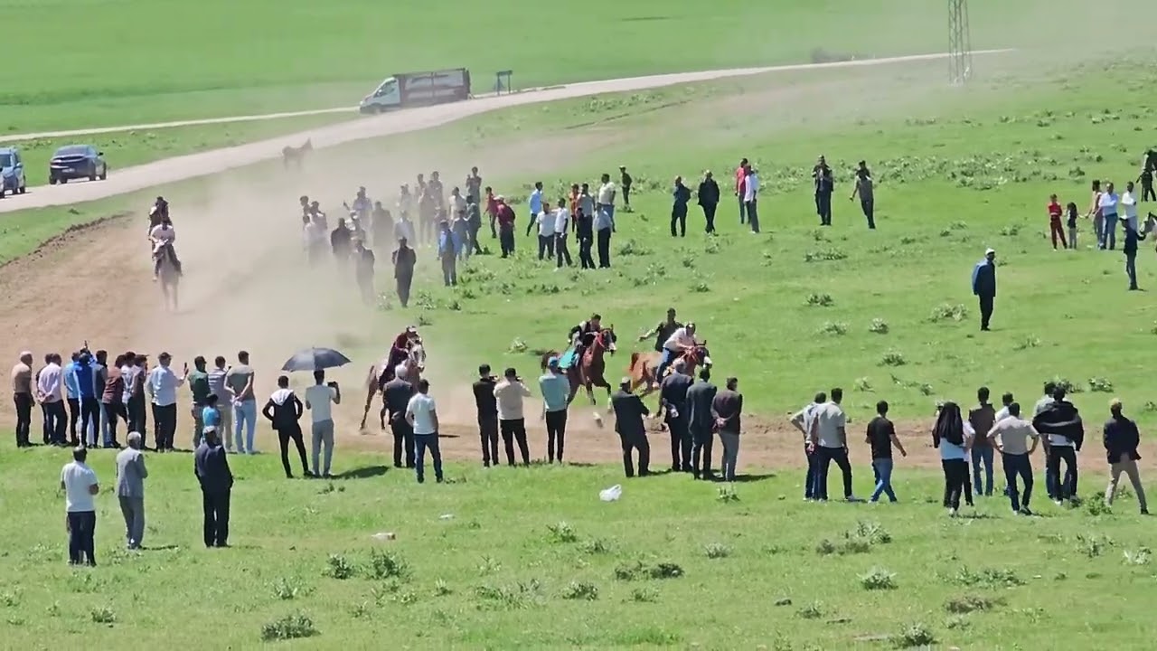 Muş varto yılanlı köyü at yarışı Nuri hipodrumu
