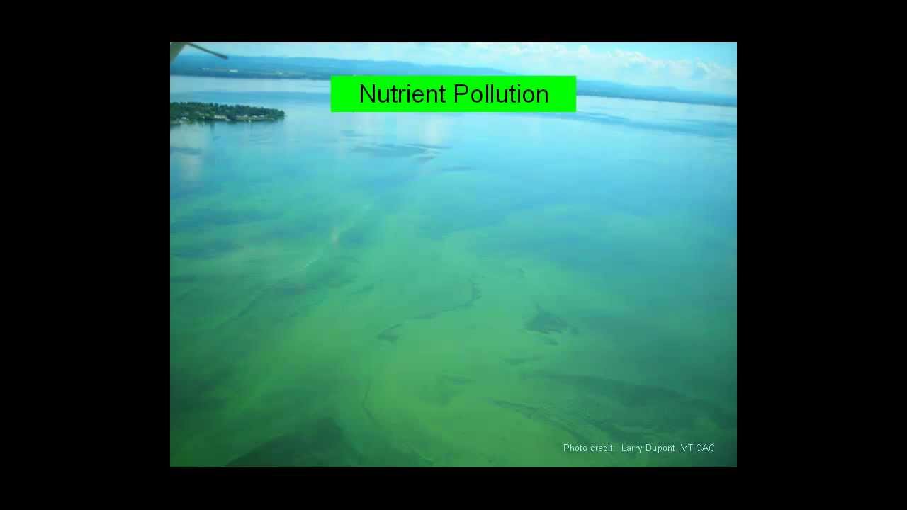 EPA Perspective on Nutrient Pollution