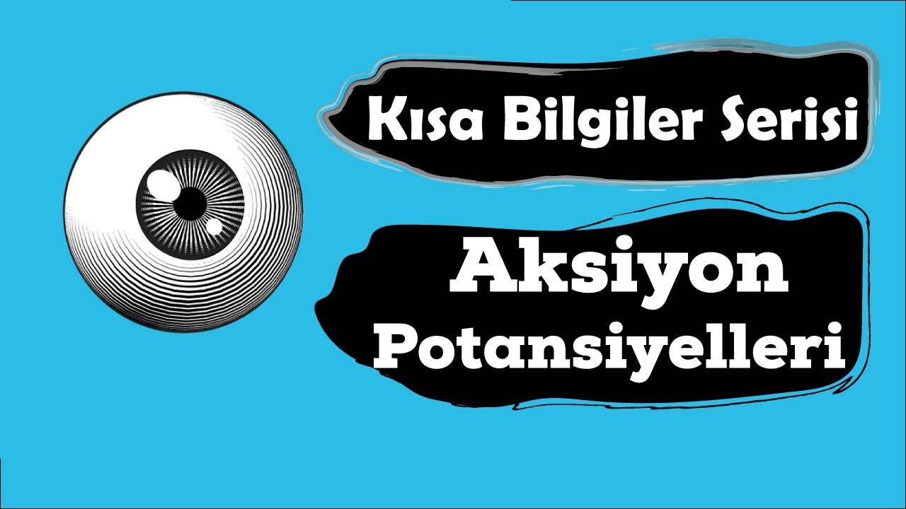 Polarizasyon , Depolarizasyon ve Repolarizasyon (Kısa Bilgiler Serisi)