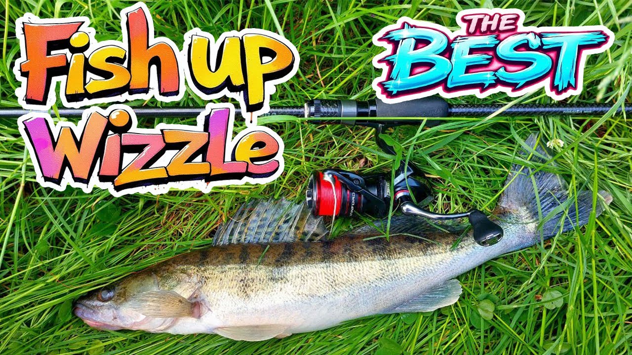 💥 СУДАКОВА РІВНОМІРНА ПРОВОДКА З СИЛІКОНОМ FISHUP WIZZLE 💥