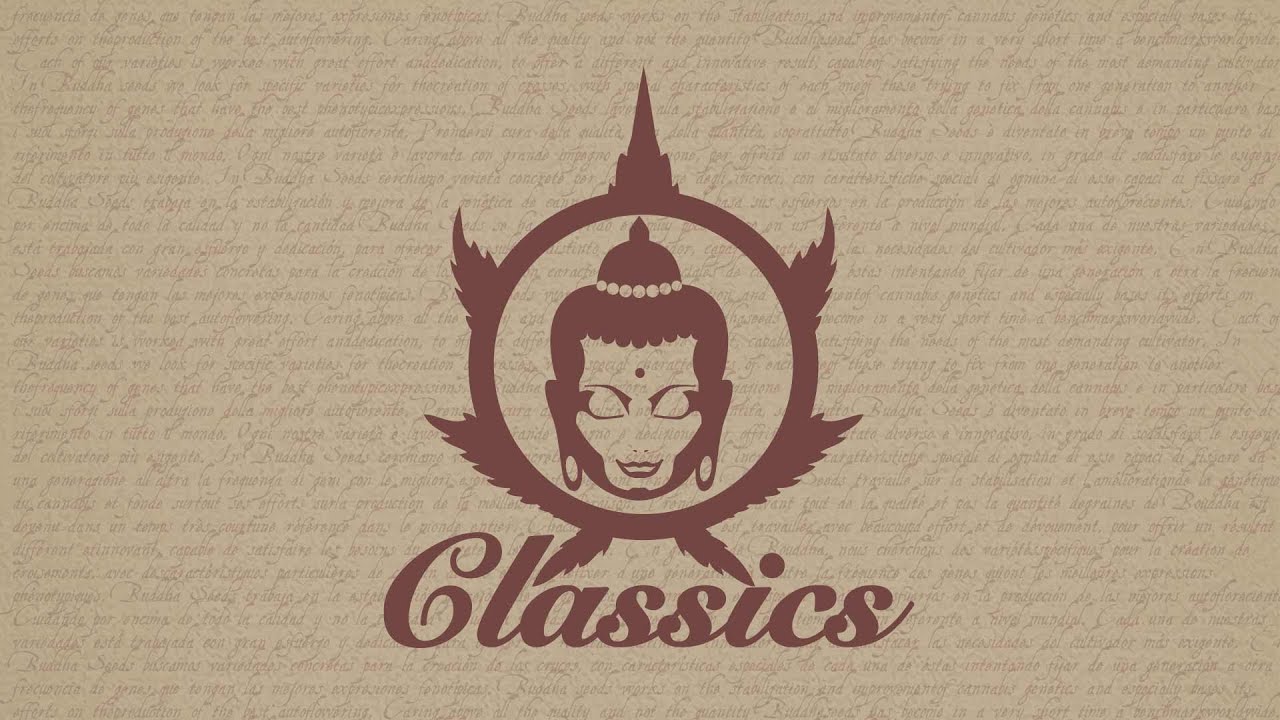Buddha Seeds presenta Classics