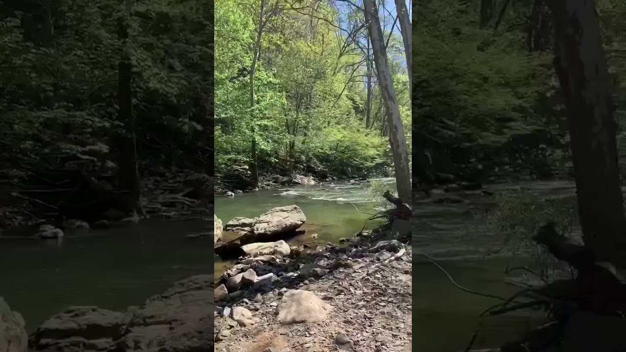 Brush Creek Falls 7.5 Mile Hike