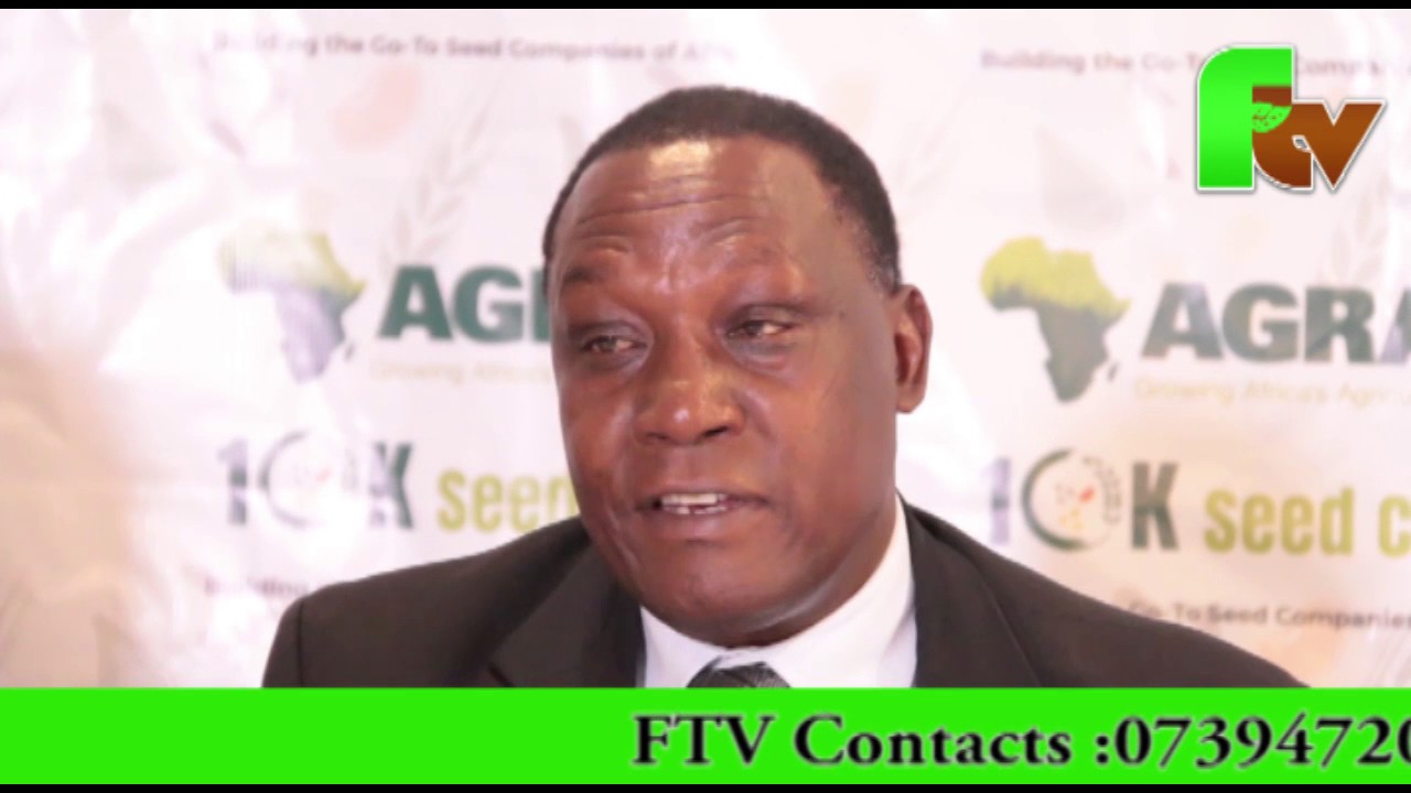 FTV NEWS