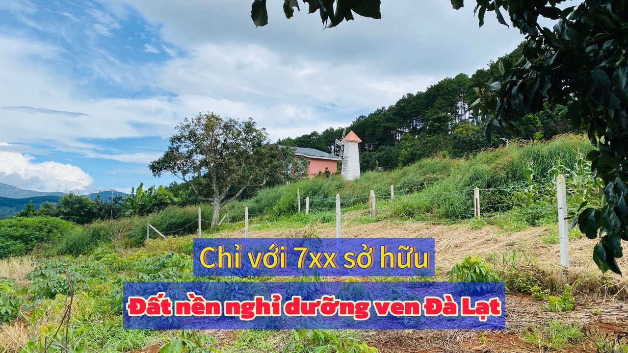 Đất nền ven Đà Lạt chỉ với 7xx giáp các khu homestay view đồi thông #batdongsan #realestate #dalat