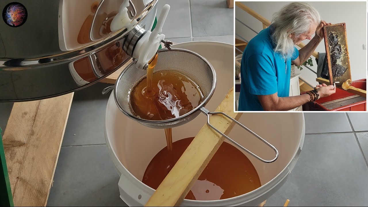 Récolter et extraire le miel