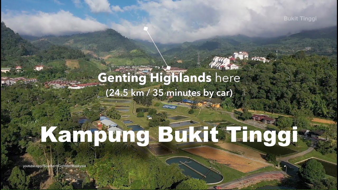 Kampung BUKIT TINGGI, it's so near to Genting Highlands!